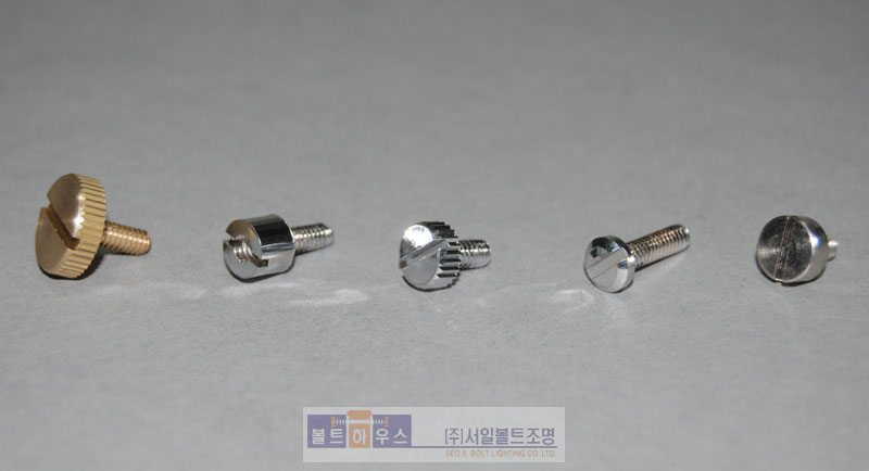 ·Î·¿Ä±ÆÃºñ½º